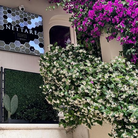 Dimora Nettare Hotell Brindisi Exteriör bild